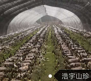 &#31859;&#20848;&#23448;&#26041;&#32593;&#39029;&#29256;&#45;&#31859;&#20848;&#40;&#20013;&#22269;&#41;
