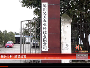 &#31859;&#20848;&#23448;&#26041;&#32593;&#39029;&#29256;&#45;&#31859;&#20848;&#40;&#20013;&#22269;&#41;